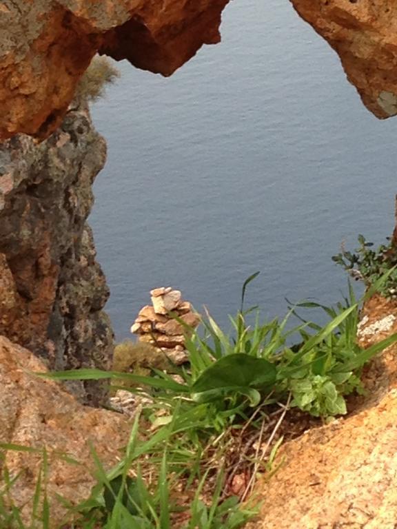 Capo D'Orto - Porto - Corse Hotel Luaran gambar