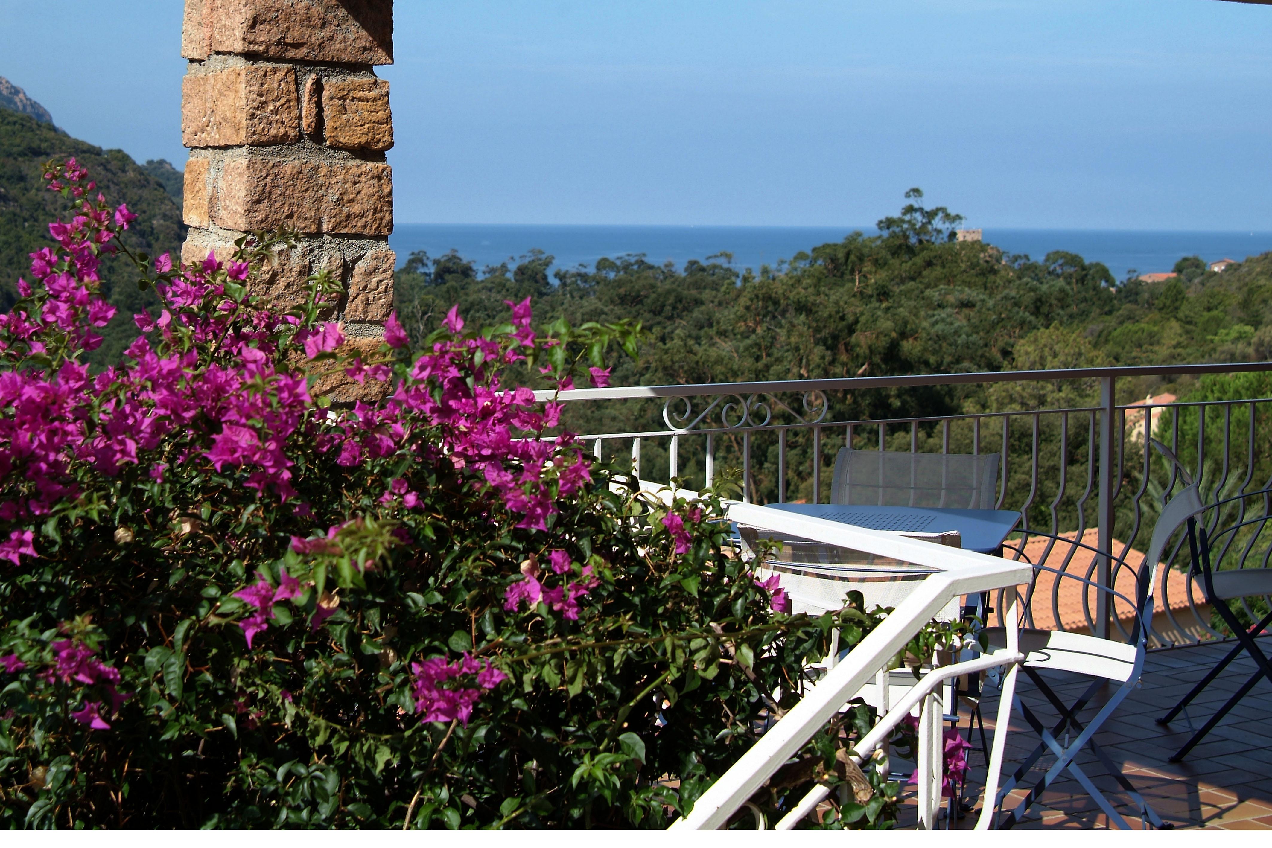 Capo D'Orto - Porto - Corse Hotel Luaran gambar