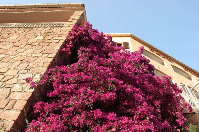 Capo D'Orto - Porto - Corse Hotel Luaran gambar